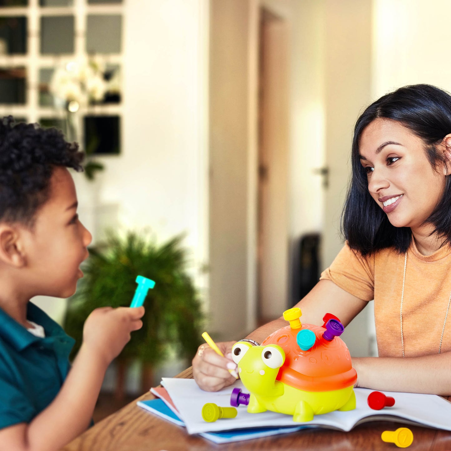 Teaching Turtle Counting Pegs
