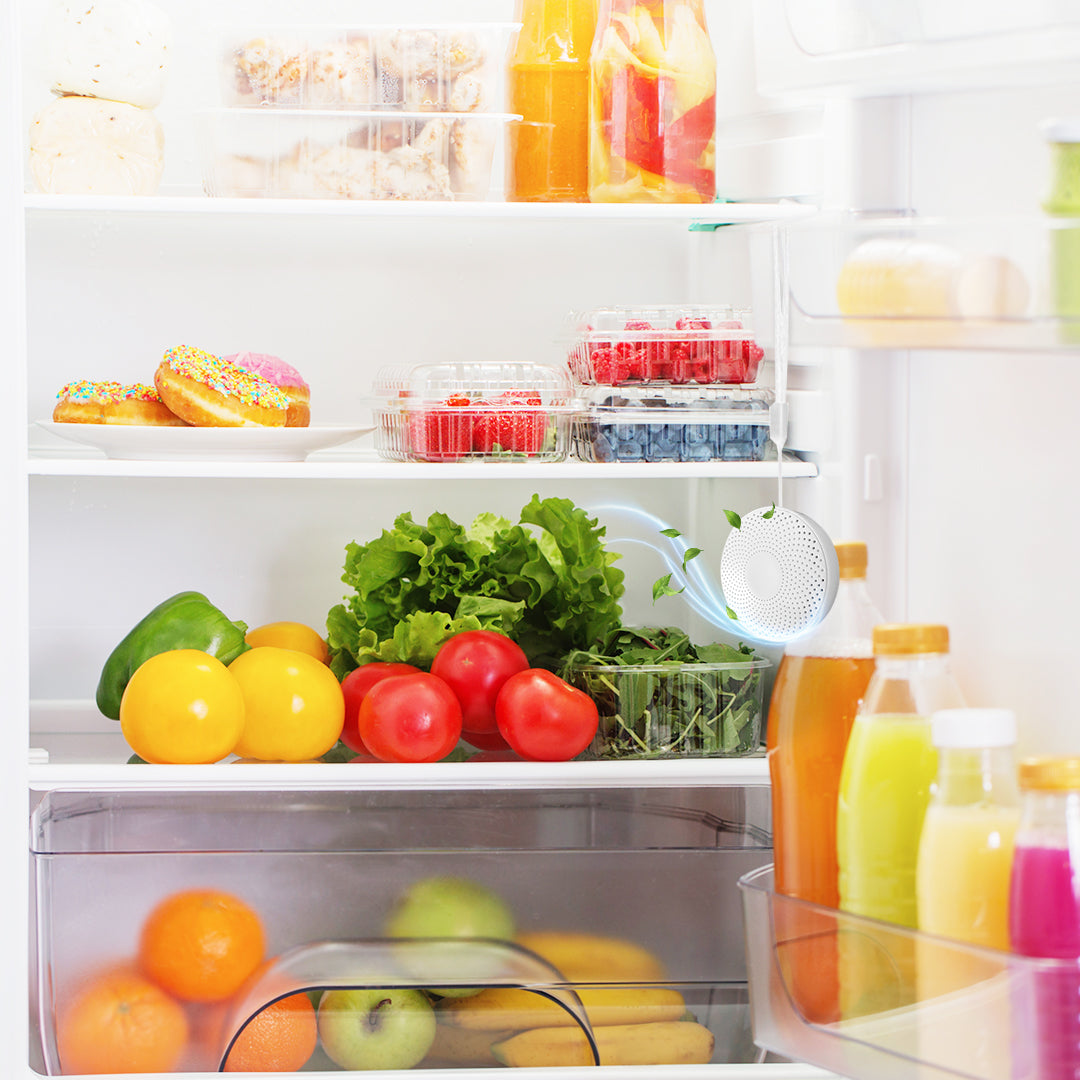 Mini Purity O3 Deodorizer Sterilizer