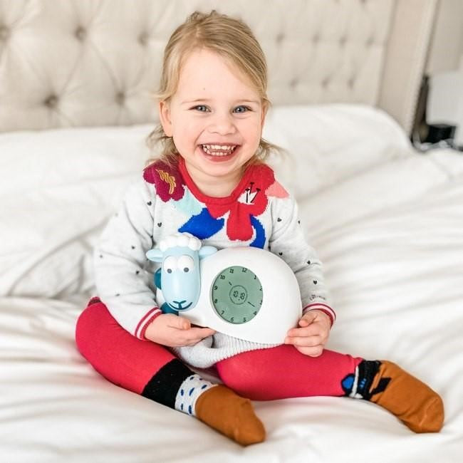 Sam the lamb – why and how to introduce a sleeptrainer