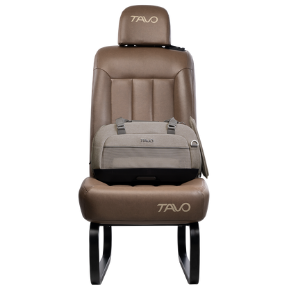 Dupree II Pet Airline Carrier Pet Car Seat