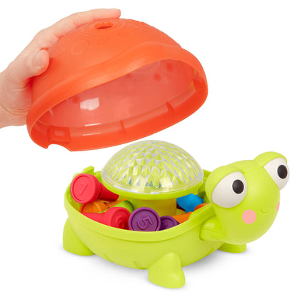 Teaching Turtle Counting Pegs