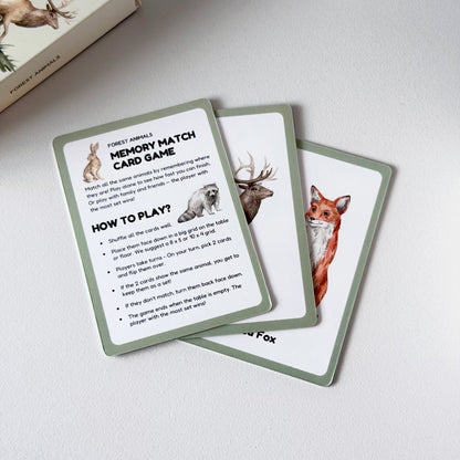 Early Learning Alphabet Flash Cards & Memory Card Game Bundle