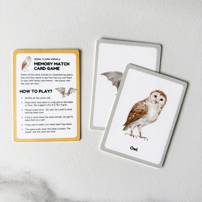 Memory Match Kids Playing Cards