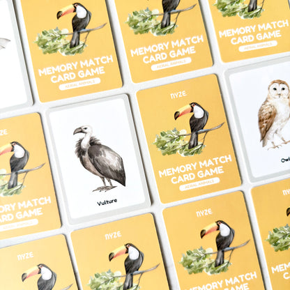 Early Learning Alphabet Flash Cards & Memory Card Game Bundle