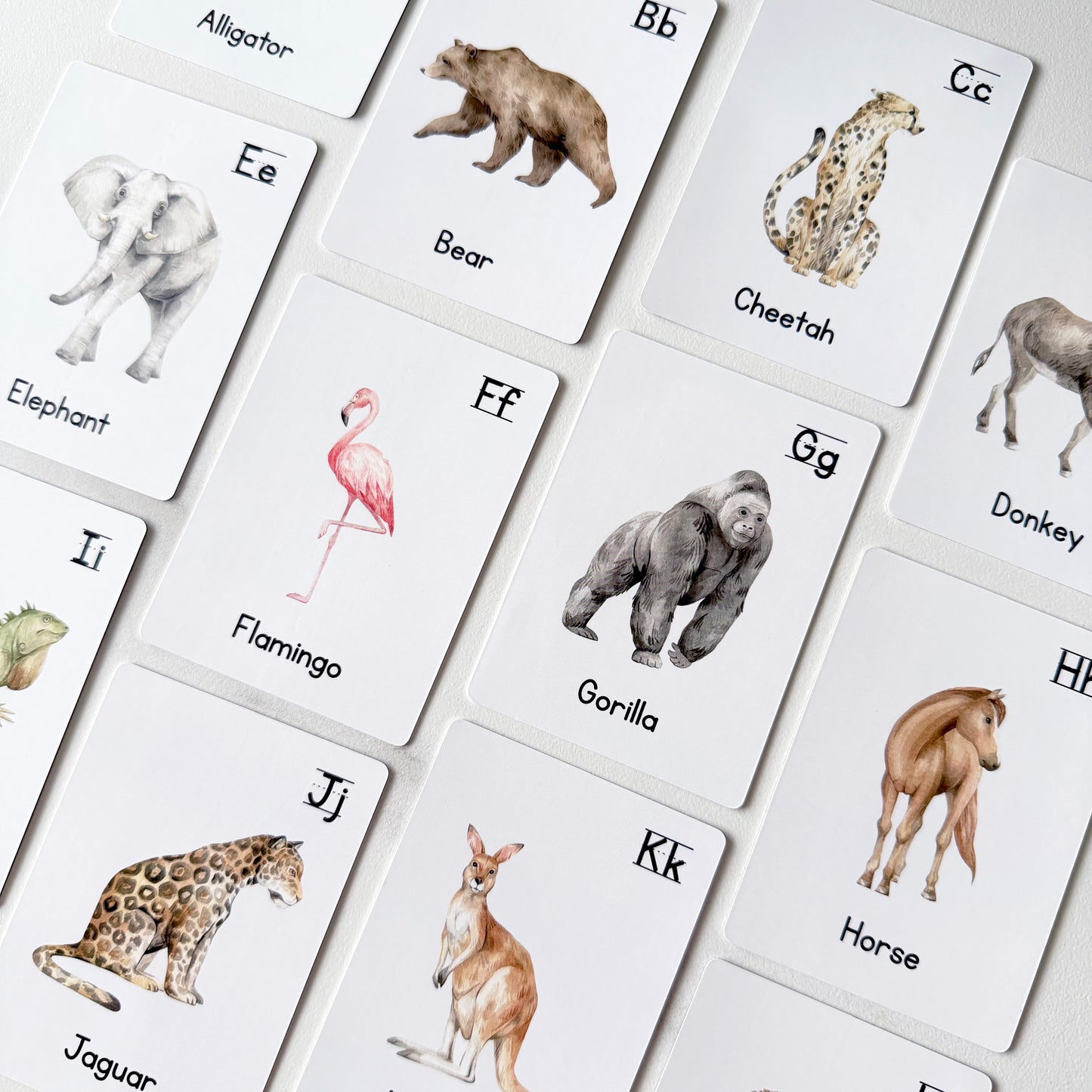 Early Learning Alphabet Flash Cards & Memory Card Game Bundle