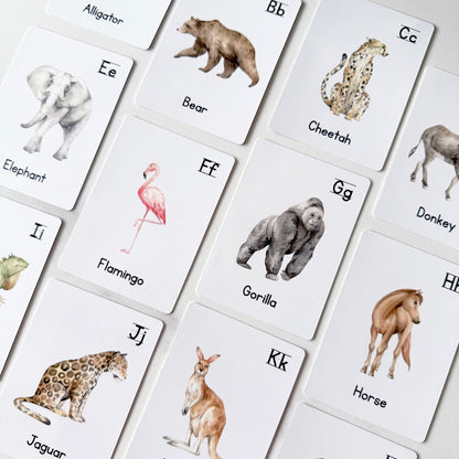 Early Learning Alphabet Flash Cards & Memory Card Game Bundle