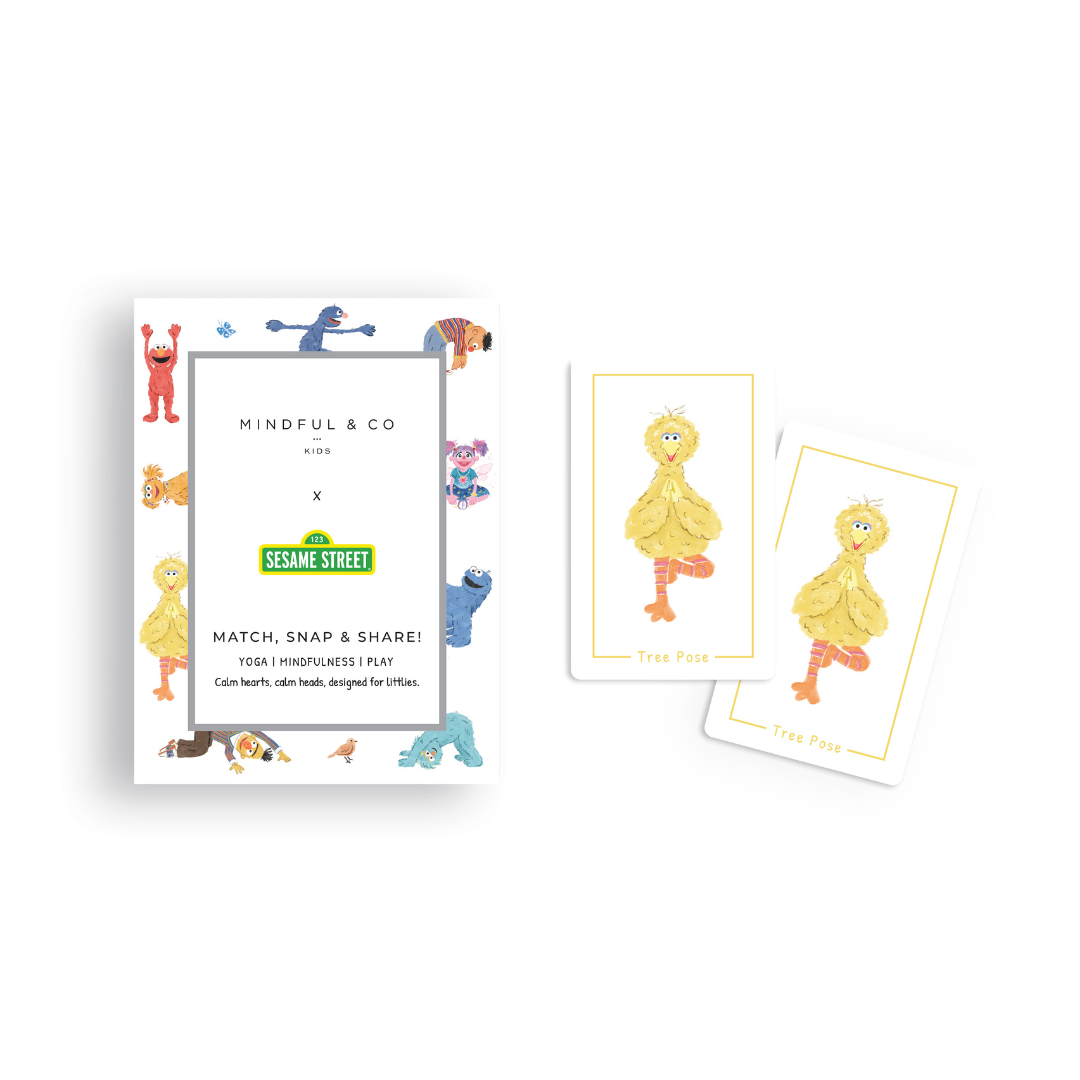 Sesame Street 3-in-1 Card Family Game