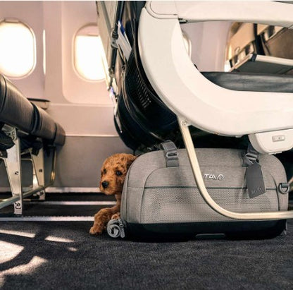 Dupree II Pet Airline Carrier Pet Car Seat