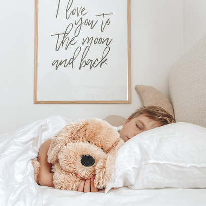 Weighted Buddies - Baby Soft Toy