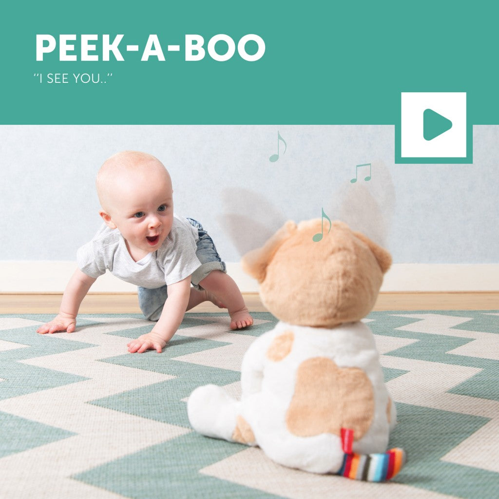 [Zazu] Danny the Dog, Peek-A-Boo Interactive Soft Toy with Sound