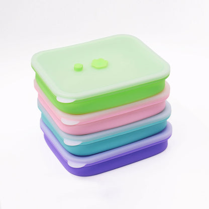 Silicone Food Container & Foodie Bag - Bundle Set