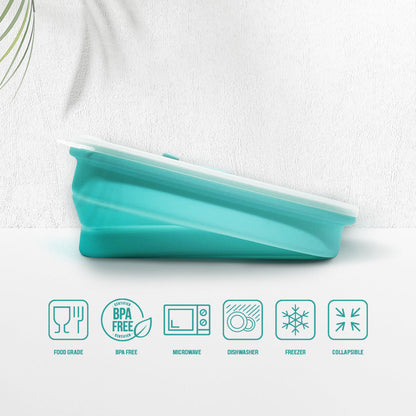 Silicone Food Container & Foodie Bag - Bundle Set