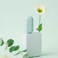 Small (S) / Celadon Green